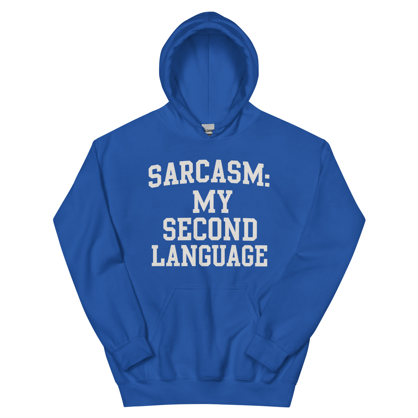 Sarcasm Language -  Hoodie